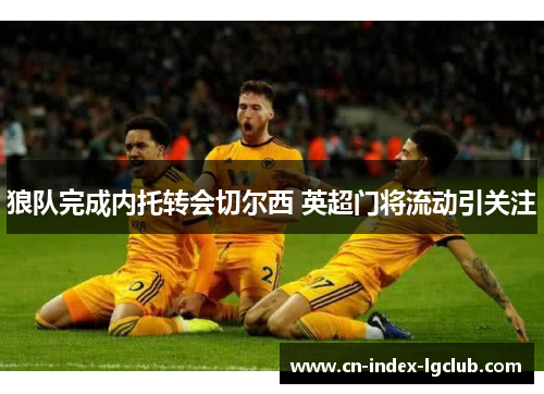 狼队完成内托转会切尔西 英超门将流动引关注